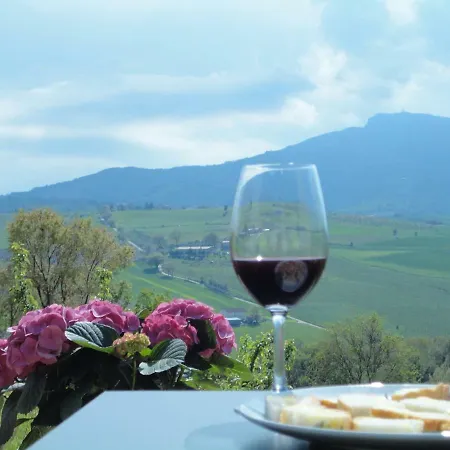 Il Vecchio Acero * Montalto delle Marche