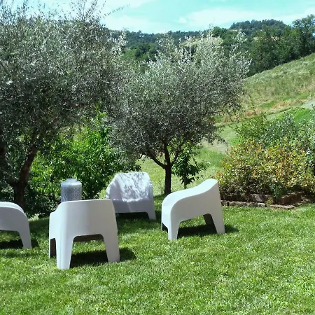 Il Vecchio Acero *