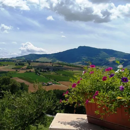 Il Vecchio Acero Appartamento *