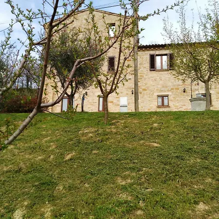 Il Vecchio Acero * Montalto delle Marche