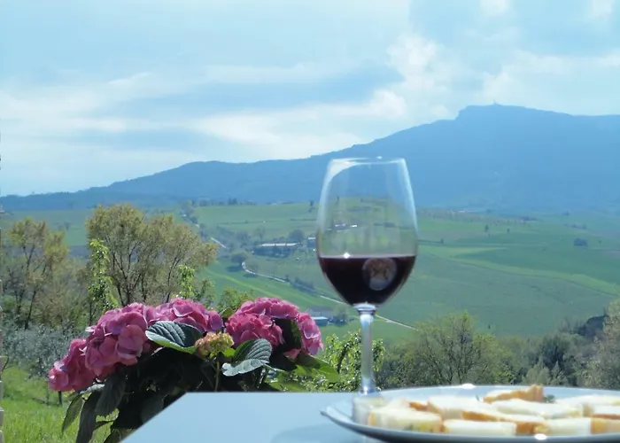 Il Vecchio Acero * Montalto delle Marche