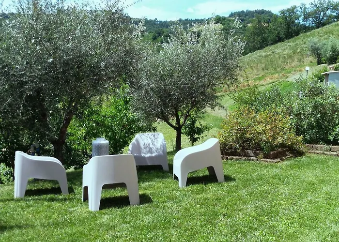 Il Vecchio Acero *