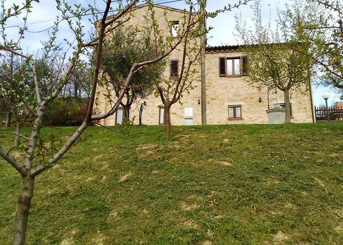 Il Vecchio Acero * Montalto delle Marche